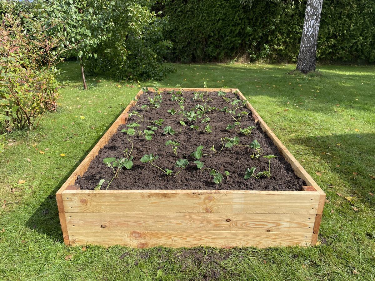 Bed i 30 cm, set på langs